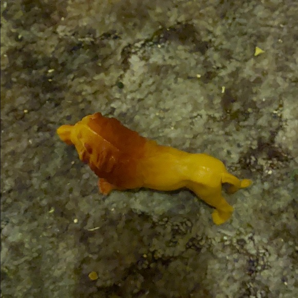 Tiger figuring. - Picture 9 of 9